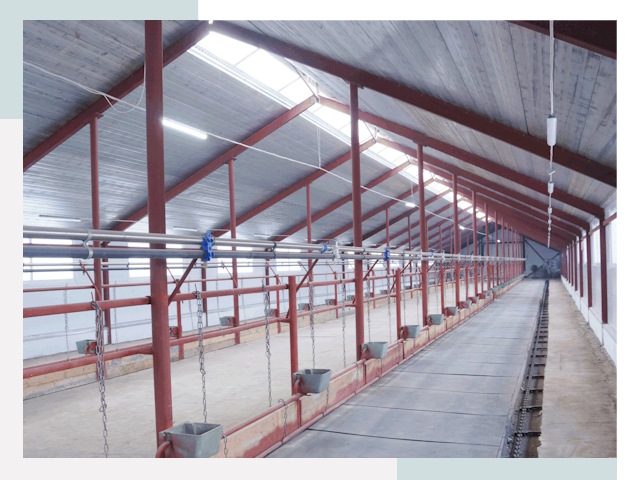 Строительство коровников в Мегионе от 626 руб.