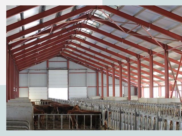 Строительство коровников в Мегионе